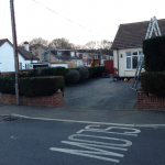reduction of hedge and shrubs