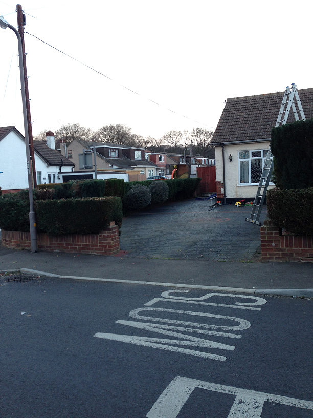 reduction of hedge and shrubs